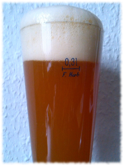 Indra Weizen India Pale Ale Glas